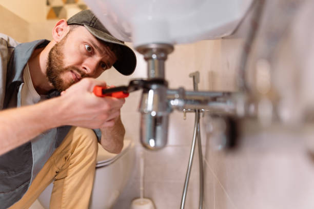 Best Local Plumber Services  in Buhl, MN