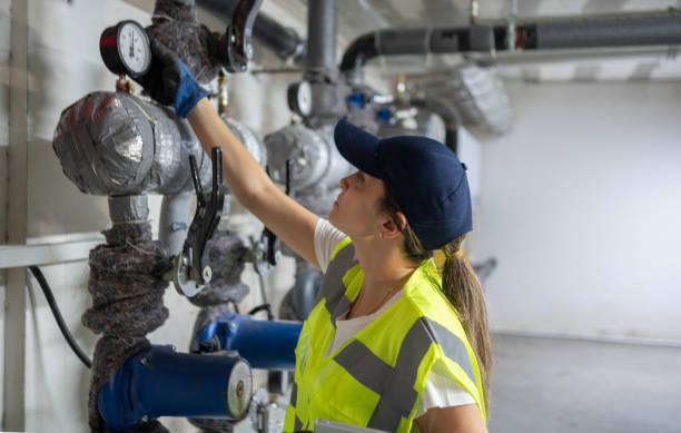 Best Plumbing Services Near Me  in Buhl, MN