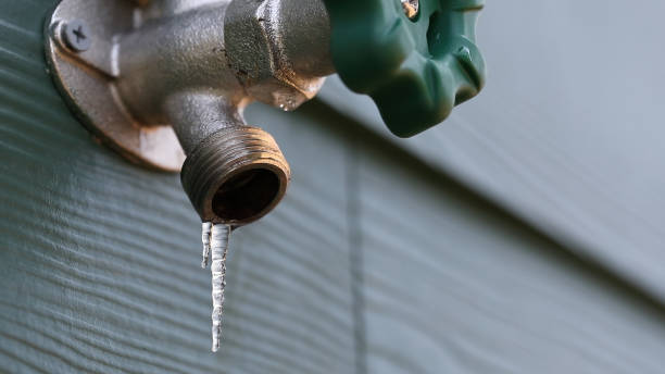 Best Plumbing Repair Near Me  in Buhl, MN